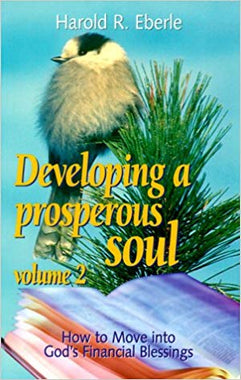 Developing A prosperous Soul 2 - Mission Store